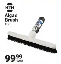 Mica HTH Algae Brush offer