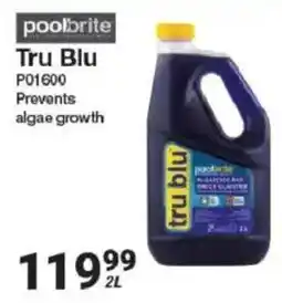 Mica Tru Blu offer