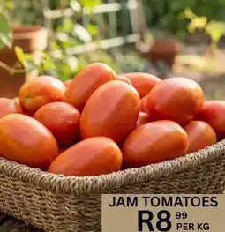Take 'n Pay Jam Tomatoes offer
