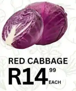 Take 'n Pay Red Cabbage offer