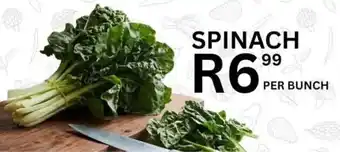 Take 'n Pay Spinach offer