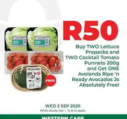 Food Lover's Market Lovers+ - lettuce prepacks and cocktail tomato punnet offer