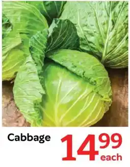 Oxford Freshmarket Cabbage offer