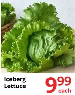 Oxford Freshmarket Iceberg Lettuce offer