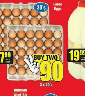 Boxer Eggs offer