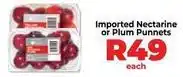 Food Lover's Market Imported nectarine or plum punnet offer