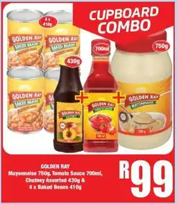 Boxer GOLDEN RAY offer