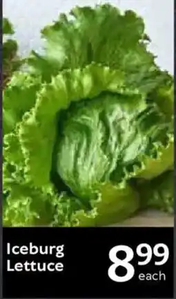 Oxford Freshmarket Iceburg Lettuce offer