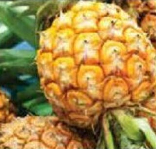 Oxford Freshmarket Pineapple offer