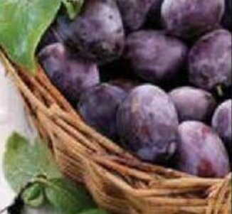 Prunes Punnet