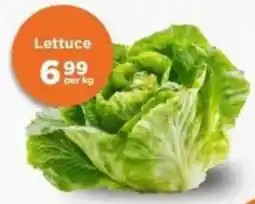 Check Star Lettuce offer