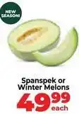 Food Lover's Market Spanspek or winter melons offer