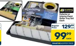 Pick n Pay Hypermarket academy Brushware Exterior or Interior Paint Roller Tray Set offer
