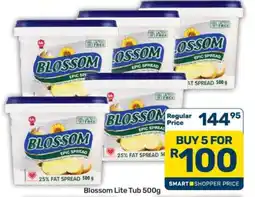 Pick n Pay Hypermarket Blossom Lite Tub 500g offer
