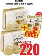 Boxer Bernini - mimosa cans offer