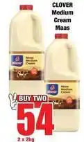 Boxer Clover - medium cream maas offer