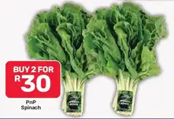 Pick n Pay PnP Spinach offer