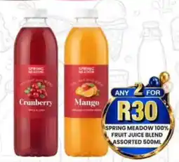 Take 'n Pay Spring Meadow Fruit Juice Blend Assorted offer