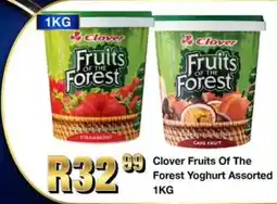 Take 'n Pay Clover Fruits Of The Forest Yoghurt Assorted offer