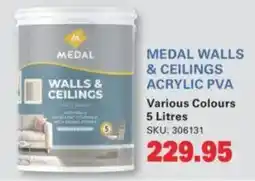 Cashbuild MEDAL WALLS & CEILINGS ACRYLIC PVA offer