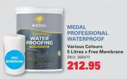Cashbuild MEDAL PROFESSIONAL WATERPROOFING offer