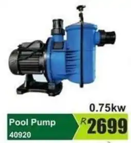 K Carrim Pool Pump 40920 offer