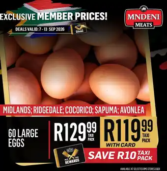 60 Large Eggs