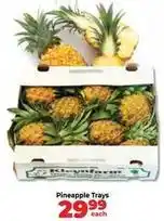 Food Lover's Market Pineapple trays offer