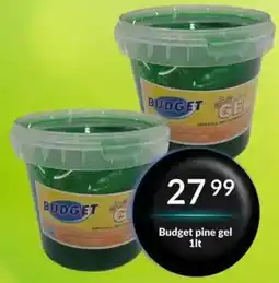 Super Save Budget pine gel offer