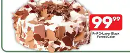 Pick n Pay Liquor PnP 2-Layer Black Forest Cake offer