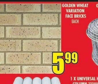 Bricks