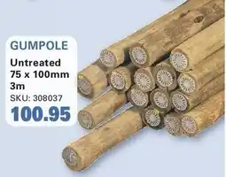 Cashbuild GUMPOLE Untreated offer
