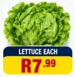 Saverite Lettuce offer