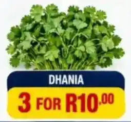 Saverite DHANIA offer