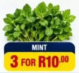 Saverite MINT offer
