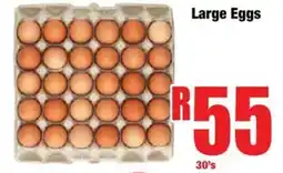 Boxer Large Eggs offer