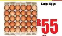 Large eggs