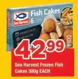 OK Grocer Sea Harvest Frozen Fish Cakes offer