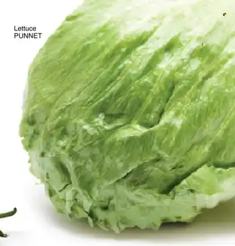 Save Lettuce offer