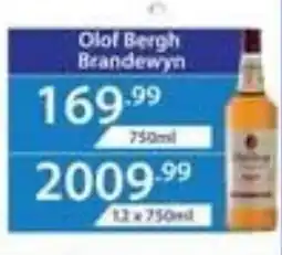 Big Save Liquor Olof Bergh Brandewyn offer