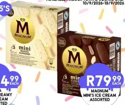 Take 'n Pay Magnum Mini's Ice Cream Assorted offer