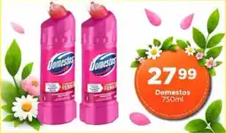 Check Star Domestos offer