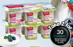 Super Save Spring Meadow Dairy Yoghurt offer