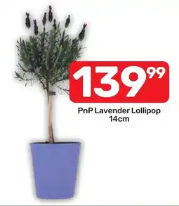 Pick n Pay Hypermarket PnP Lavender Lollipop offer