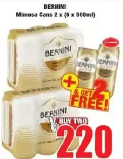Boxer Bernini Mimosa Cans offer