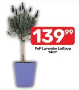 Pick n Pay PnP Lavender Lollipop offer