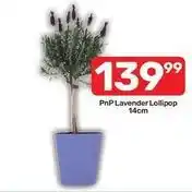 Pick n Pay Lavender lollipop offer