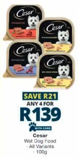 Checkers Cesar Wet Dog Food offer
