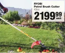 Build It RYOBI Petrol Brush Cutter 43cc offer