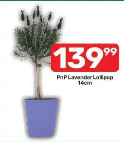 Pick n Pay PnP Lavender Lollipop 14cm offer
